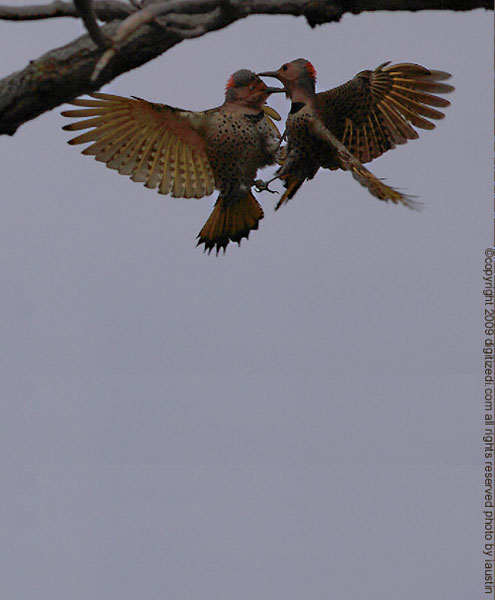 Flicker Flicker Hand Holding