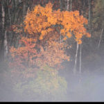 Michigan Fall Fog Colors - Photo by Ike Austin