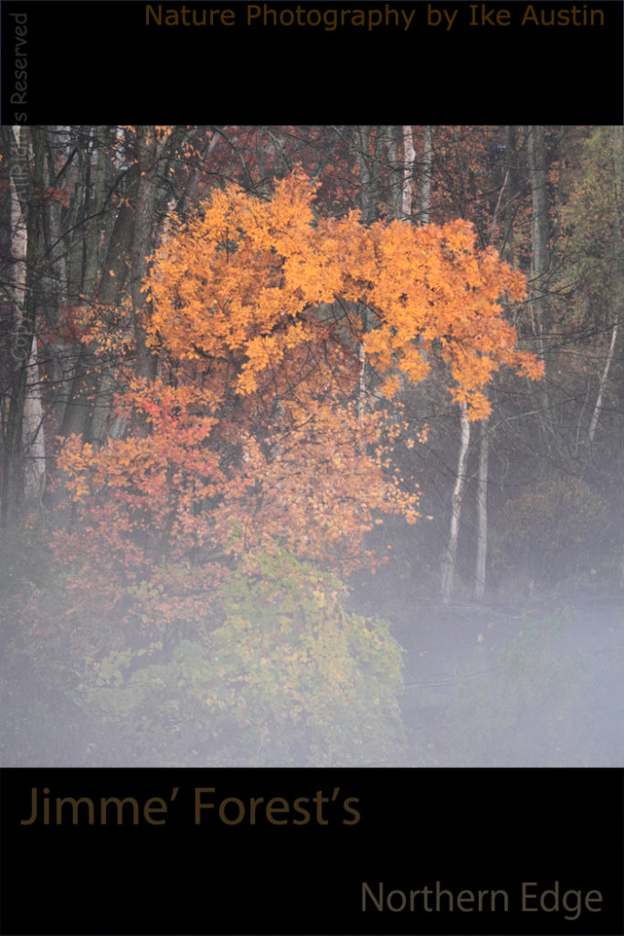 Michigan Fall Fog Colors - Photo by Ike Austin